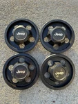 84-01 Jeep Cherokee Wrangler Hubcaps Center 52000153. Fixed Price $99.99.
