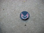 1975- 1981 Pontiac Firebird Trans Am Nos Wheel Center Cap Gm 527087. Fixed Price $19.99.