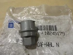Oem # 10245179 Gm General Motors Wheel Nut Cover New. Fixed Price $9.88.