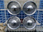 1973-74 Pontiac Firebird Lemans Ventura 14" Hubcaps Set Of (4) Oem Wheel Covers. Fixed Price $209.99.