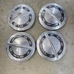 Set Of 1964 Ford Galaxie 10.5" 427 Hipo Code Dog Dish. Fixed Price $199.99.