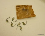 Nos Mopar 1970-1974 Plymouth Cuda Dodge Challenger Door Belt Mldg Fasteners Pkg. Fixed Price $89.89.