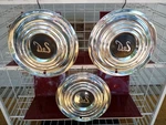 1956 Desoto Firedome Fireflite 15" Hubcaps Set (3) Wheel Covers Oem Antique. Fixed Price $127.99.