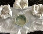 Nos Ford 1969 Boss 429 Magnum 500 Wheel Cap Backing Retainers Only! Priced Each!. Fixed Price $44.50.