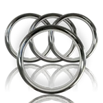 SETOF4 16" Stainless Steel Wheel Trim Rings Beauty Rims Glamour For Gm. Fixed Price $75.99.