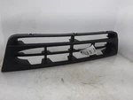 Grille With Painted Inserts 03-07 Ford E150 Van 2C2Z8200BAA. Fixed Price $216.99.